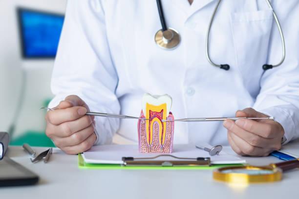 Best Emergency Tooth Extraction in South Run, VA